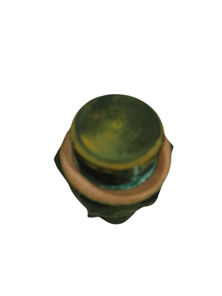 Cebolão Interruptor De Água Fiat Palio 1997 Edx 1.0 Original 3