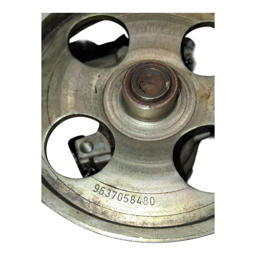 Bomba Direçao Hidraulica Peugeot 206 1.6 2003 6