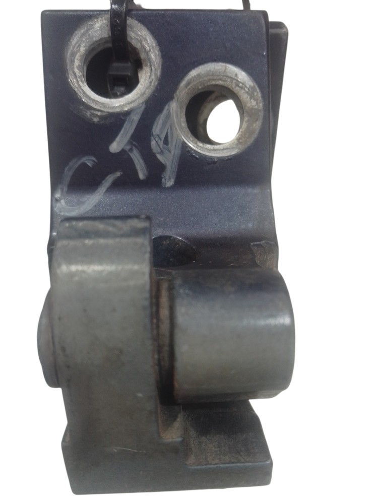 Par Dobradiça Porta Traseira Direta Volkswagen Golf 95/00