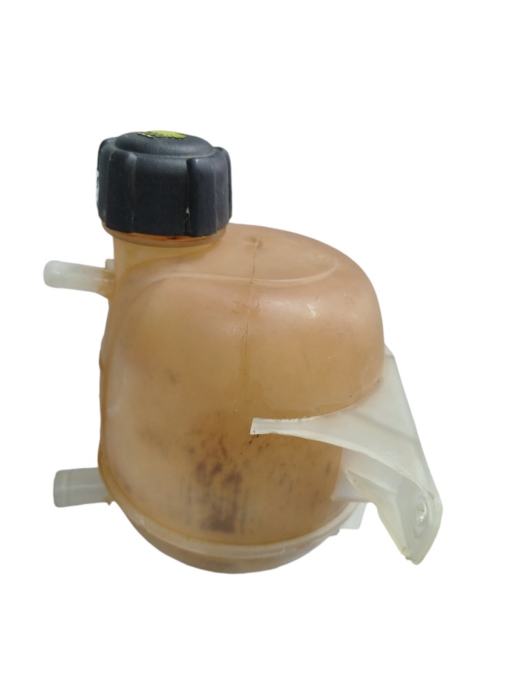 Reservatorio Dagua Radiador Duster 2.0 16v 2015 2