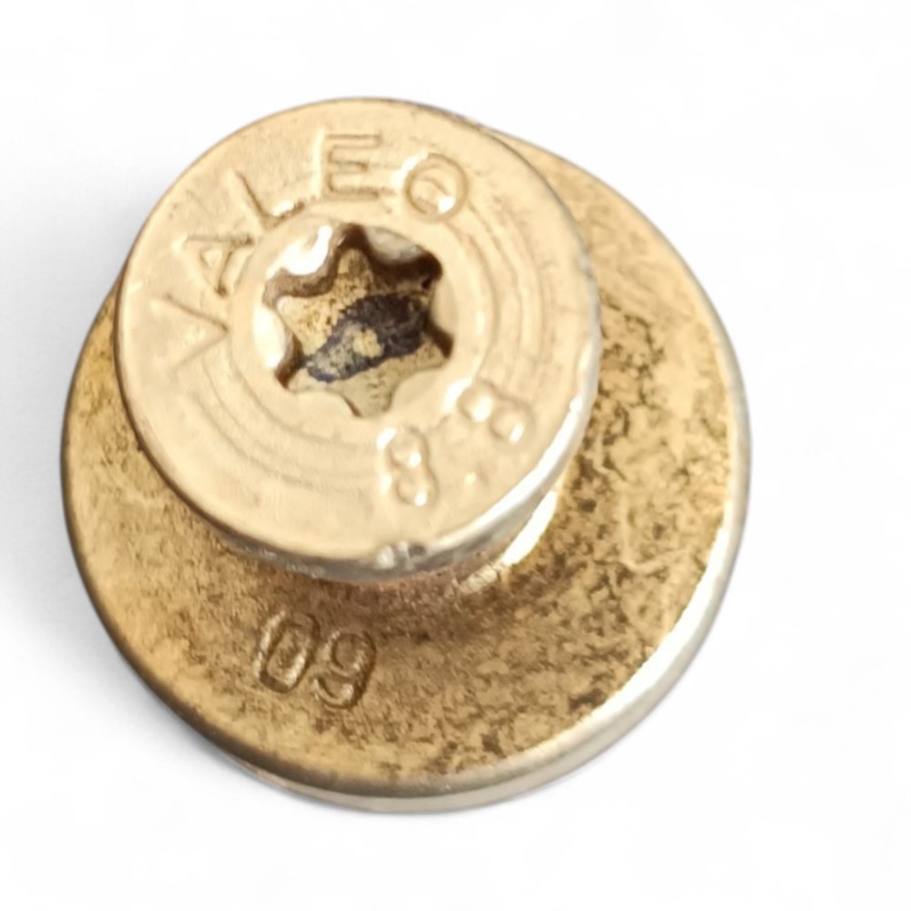 Batente Pino Trava Porta Renault Sandero 2009 A 2010