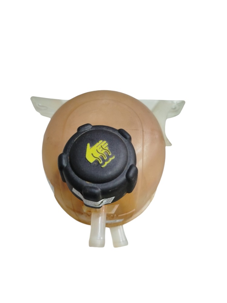 Reservatorio Dagua Radiador Duster 2.0 16v 2015 5