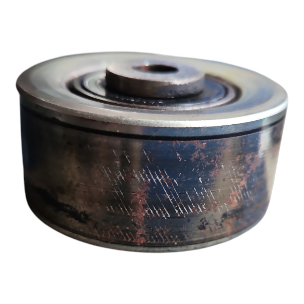 Rolamento Guia Alternador Xsara Picasso 1.6 2000 Em Diante 6