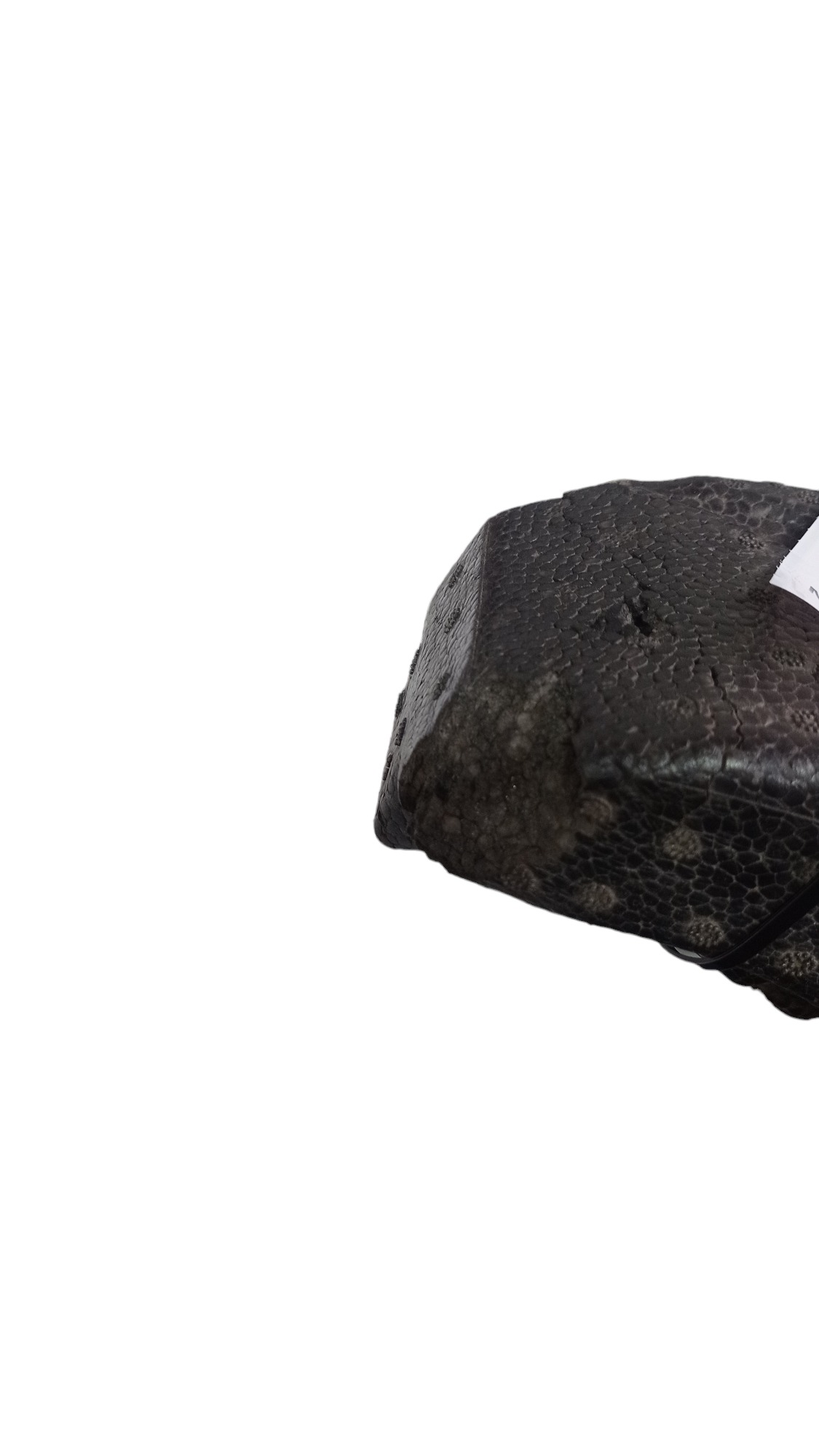 2gp807248 Absorvedor Impacto Parachoque Diant Vw Tcross 2018