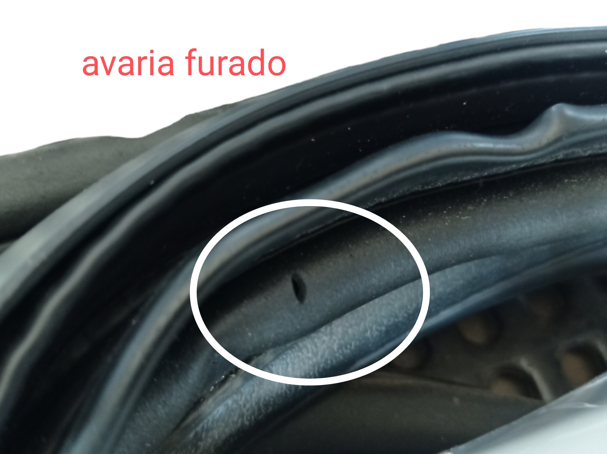 Borracha Porta Dianteira Direita Grand Caravan Ltd 2005 V586 8