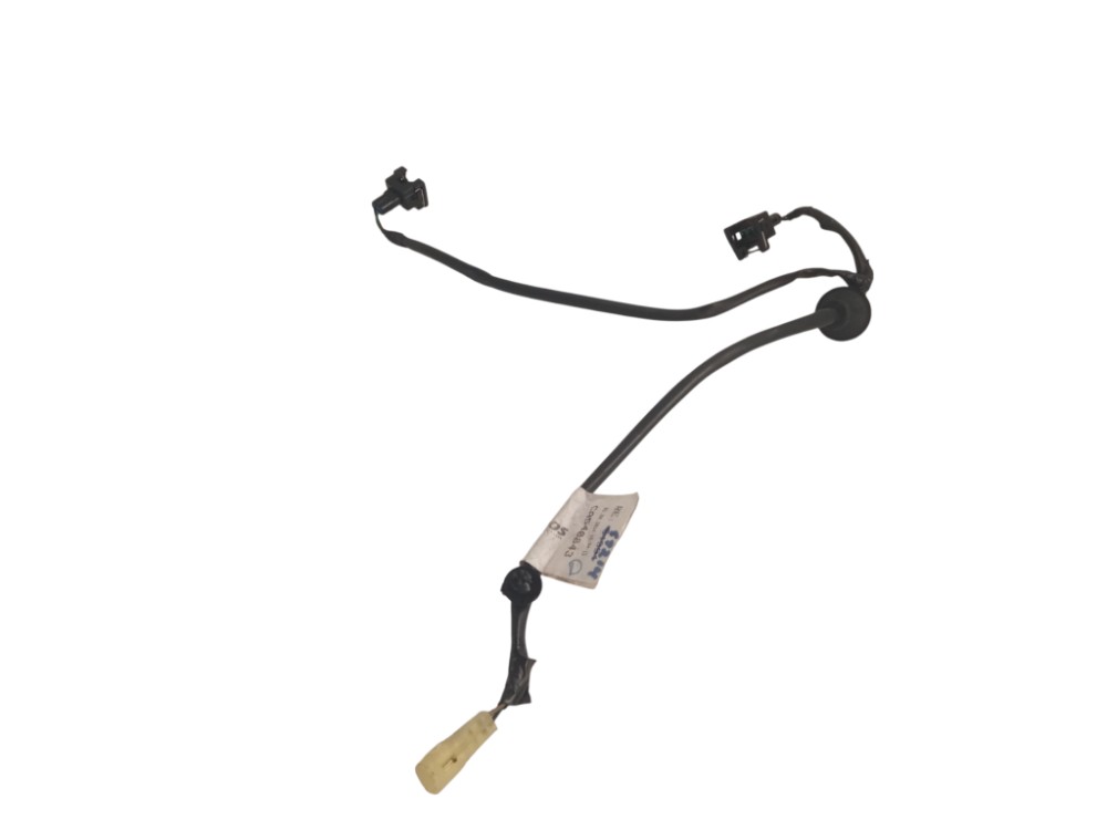 CHICOTE DA LUZ DE PLACA PAJERO TR4 3