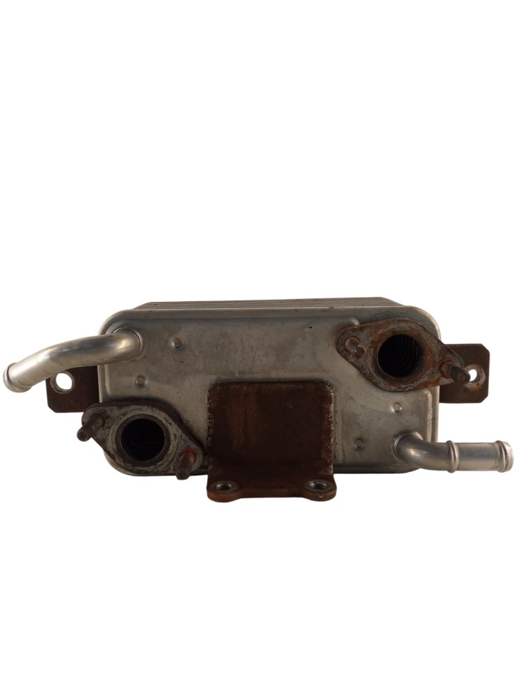 Resfriador De Oleo Do Motor L200 Trton 2009