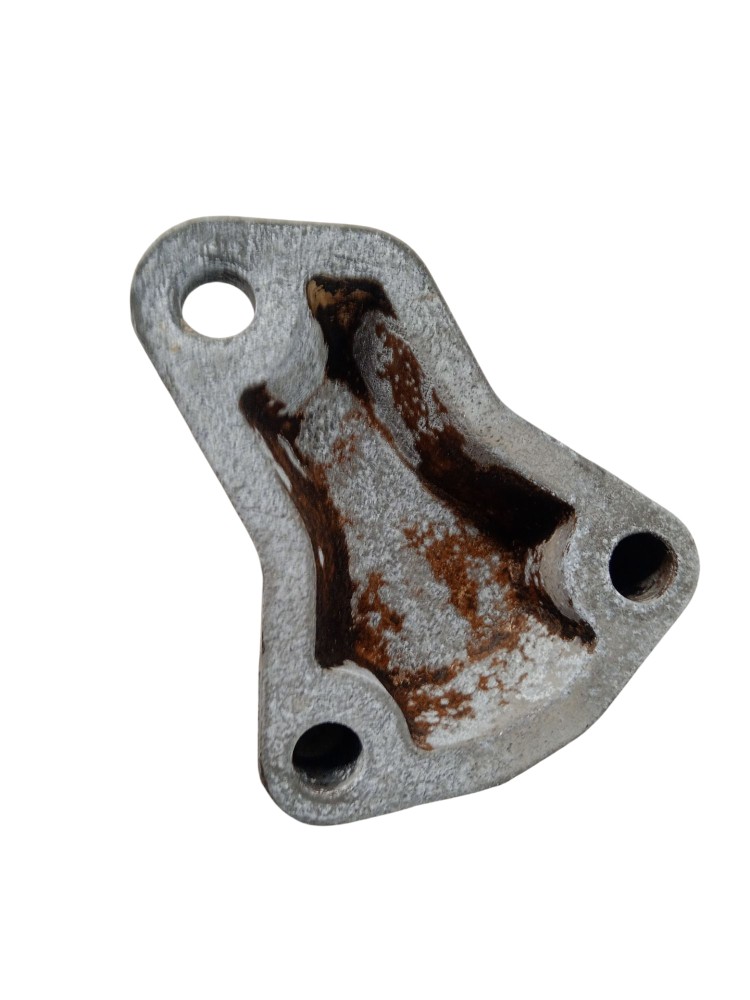 Tampa Lateral Motor Clio 1.6 8v 1991/1998 3