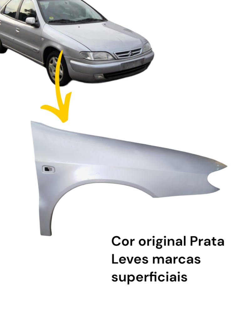 Paralama Diant Direito Passageiro Citroen Xsara Break 2000 1
