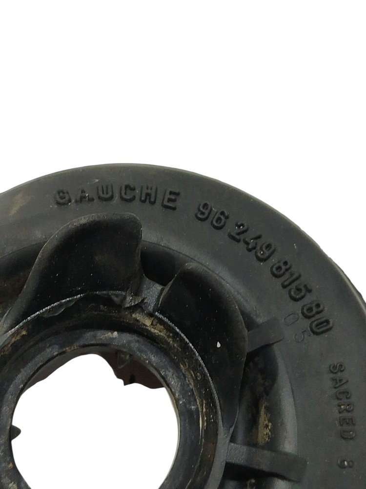 Guarda Pó Peugeot 206 2002 9624981580 2