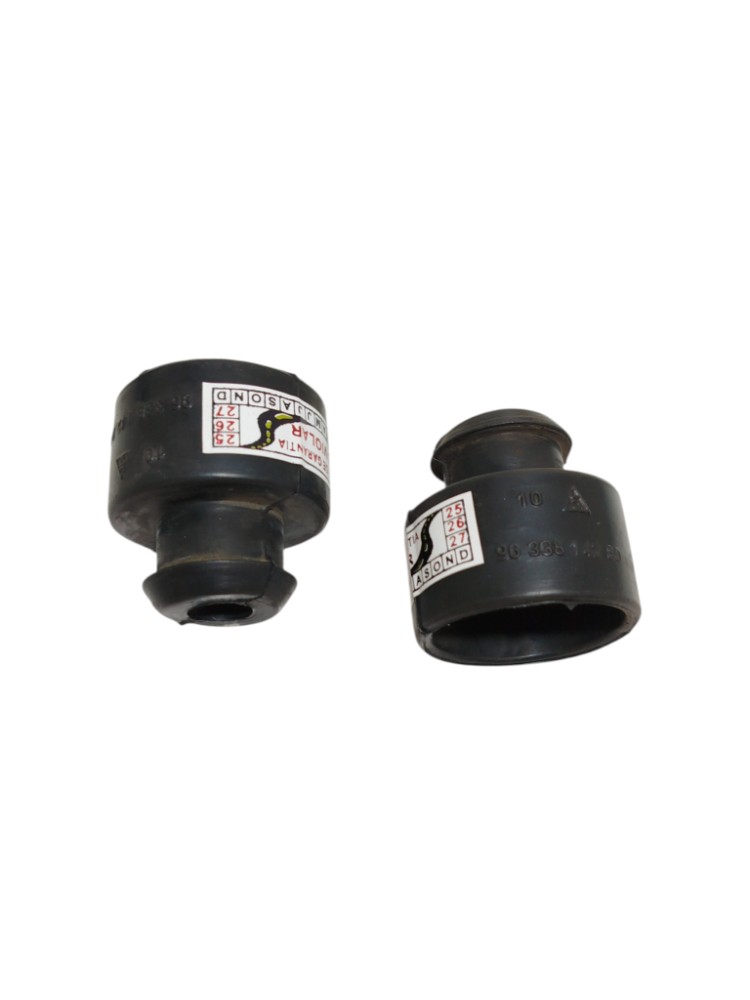Par Coxim Superior Condensador Peugeot 307 1.69633814280 5