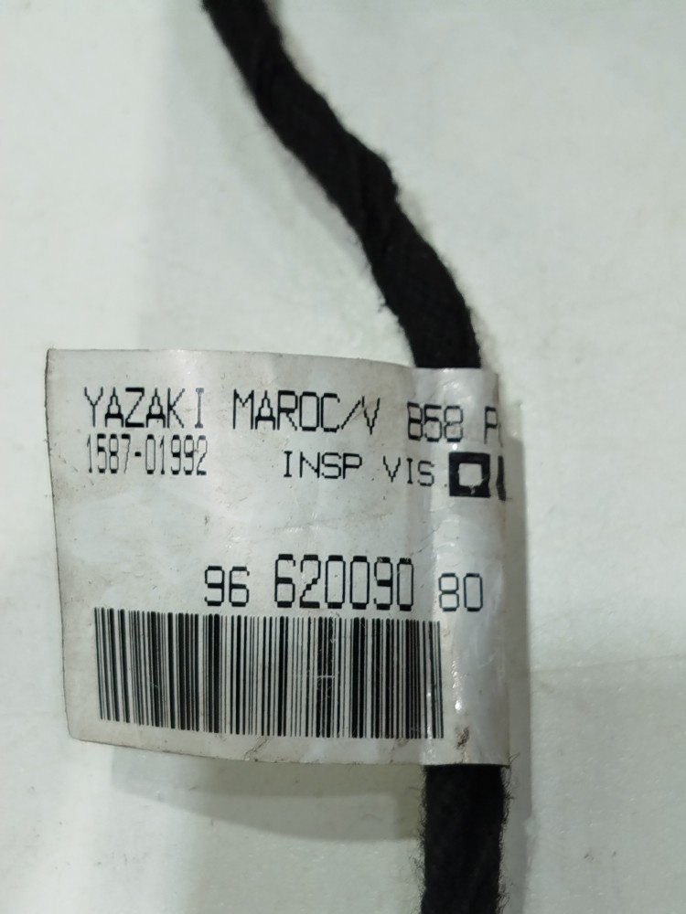 Chicote Porta Dianteira Esq C4 Picasso Glx 2.0 16v 2012 Gas 8