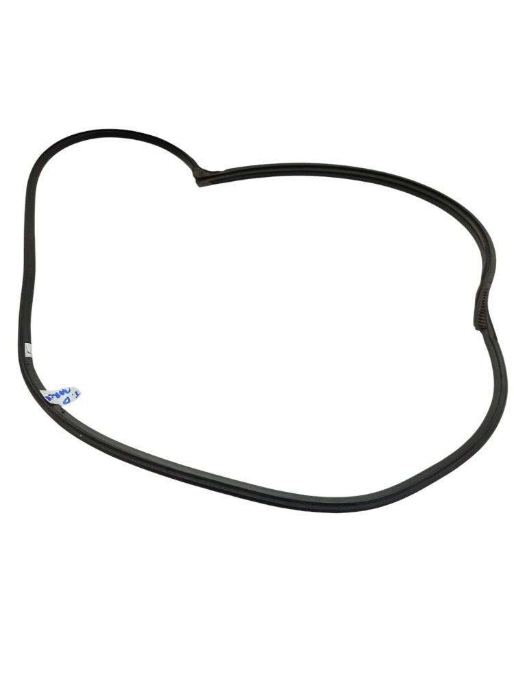 Borracha Pingadeira Porta Tra Direita March 2017 1
