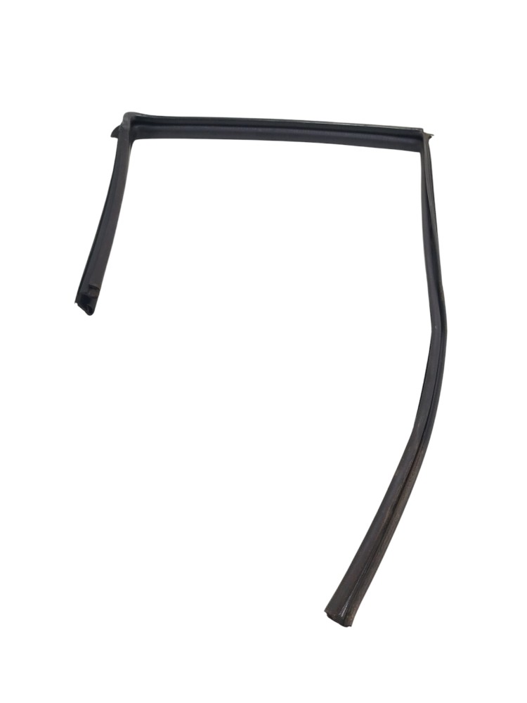 Borracha Canaleta Porta Tras Esq March 2017 2