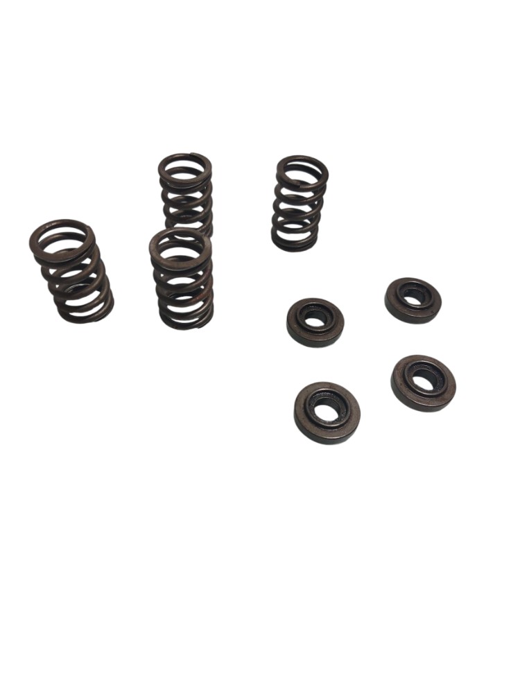 Kit Molas Válvulas Gm Astra 1.8 8v 2001 6