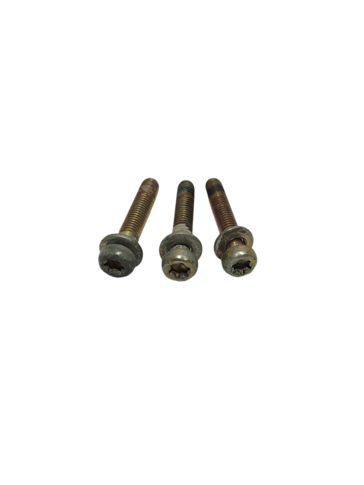 Parafusos TBI Corpo Borboleta Fiat Palio Fiasa 1.0 1999 3un 1