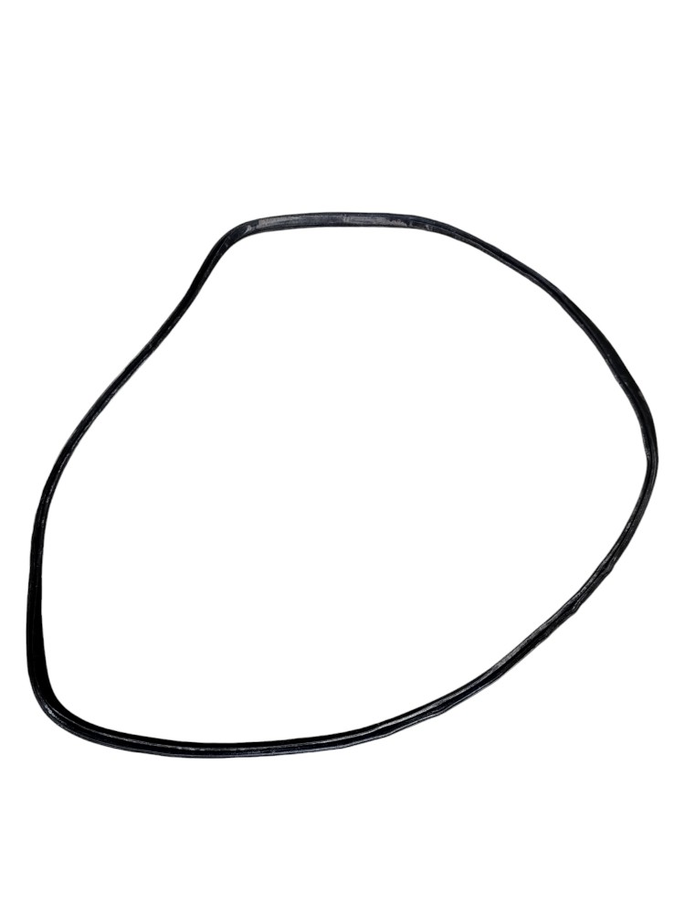 Borracha Porta Traseira Direita Vw Polo 2008 2