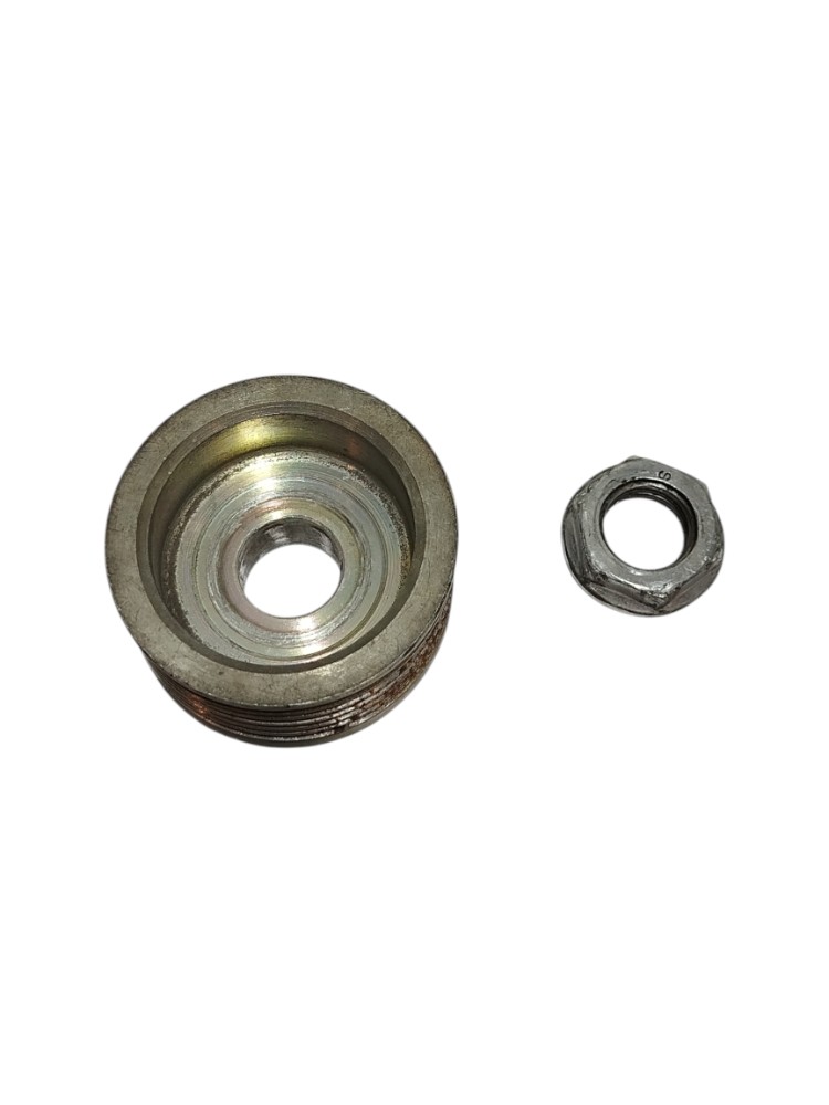 Polia Alternador c/porca Citroen Aircross 1.6 2014 5