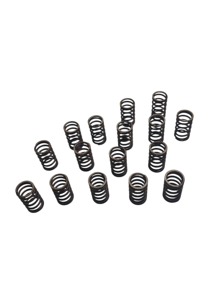 Kit Molas Válvulas Nissan Versa 1.6 Sl 2013 3