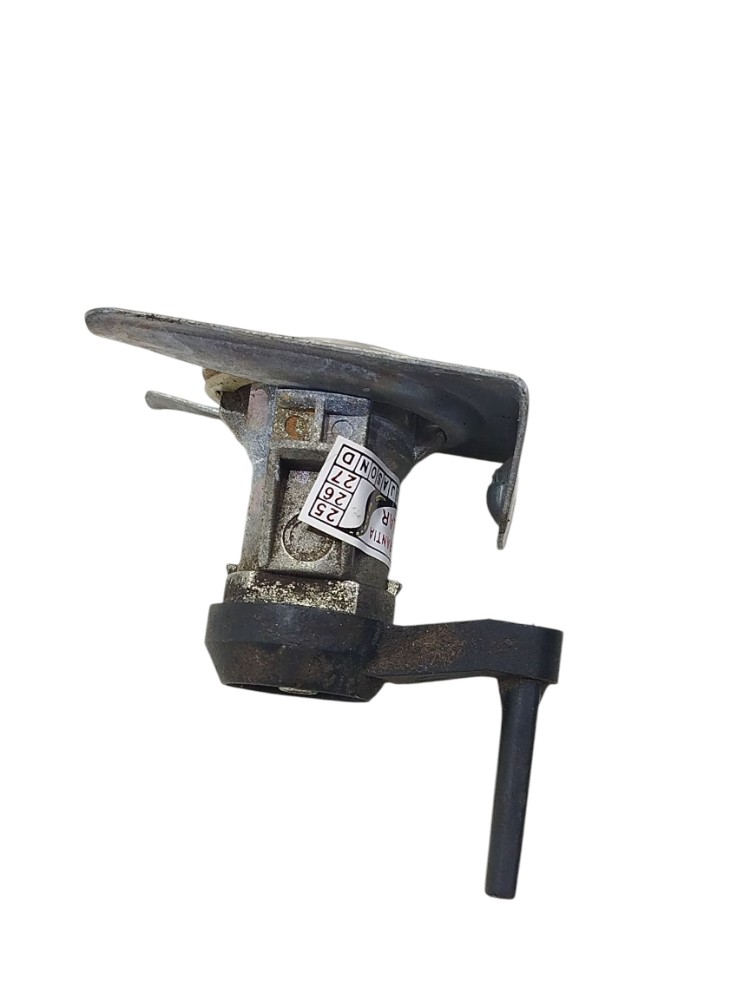Miolo Porta Dianteira Direita Peugeot 206 2002 4