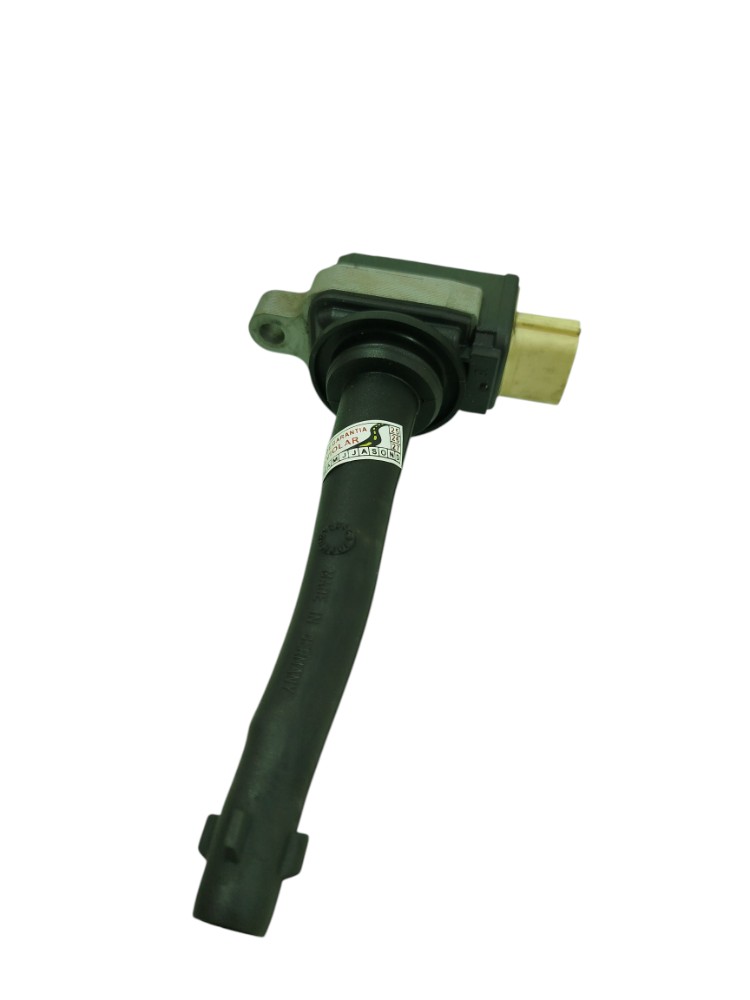 Bobina Ignição Renault Fluence 2.0 2011 D 9