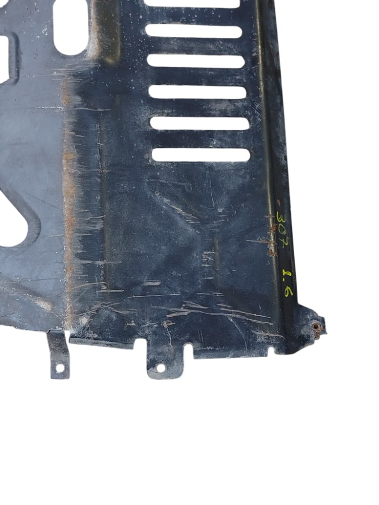Protetor Carter Peugeot 307 1.6 3