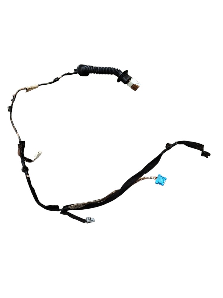 Chicote Porta Traseira Direita Duster 2015 2