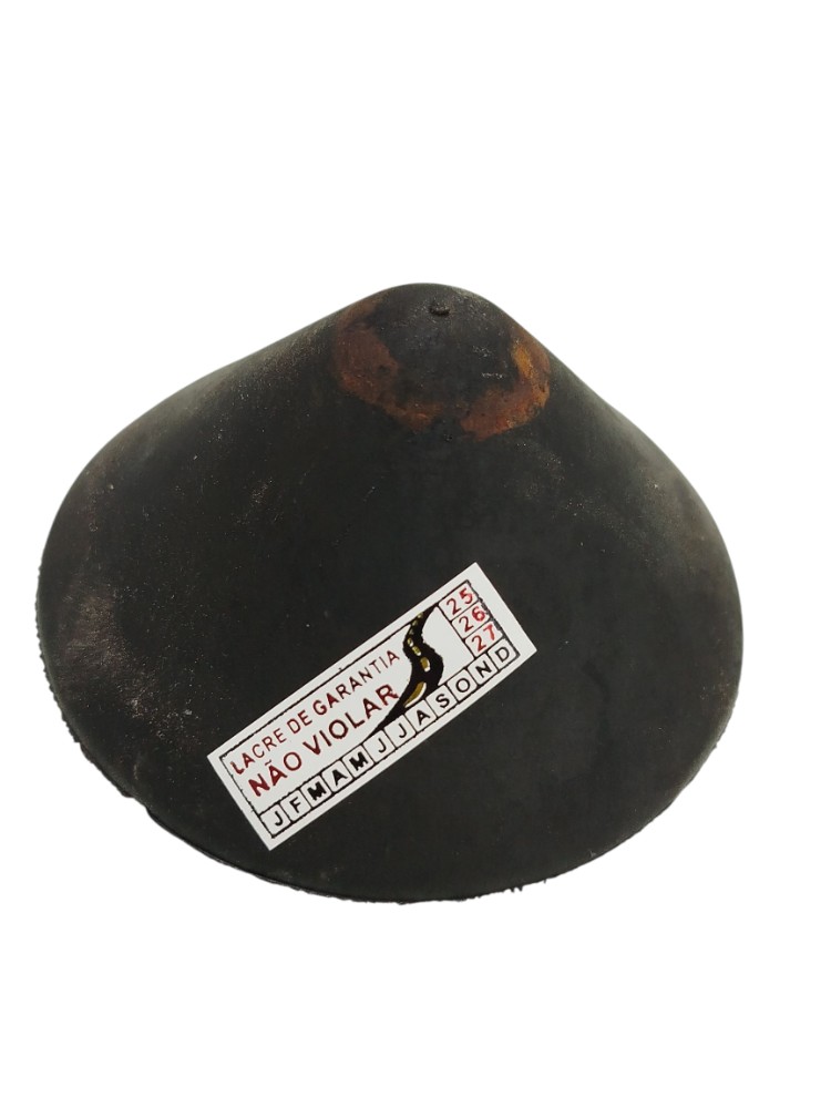 Tampa Amortecedor trs Renault Clio 2006 1