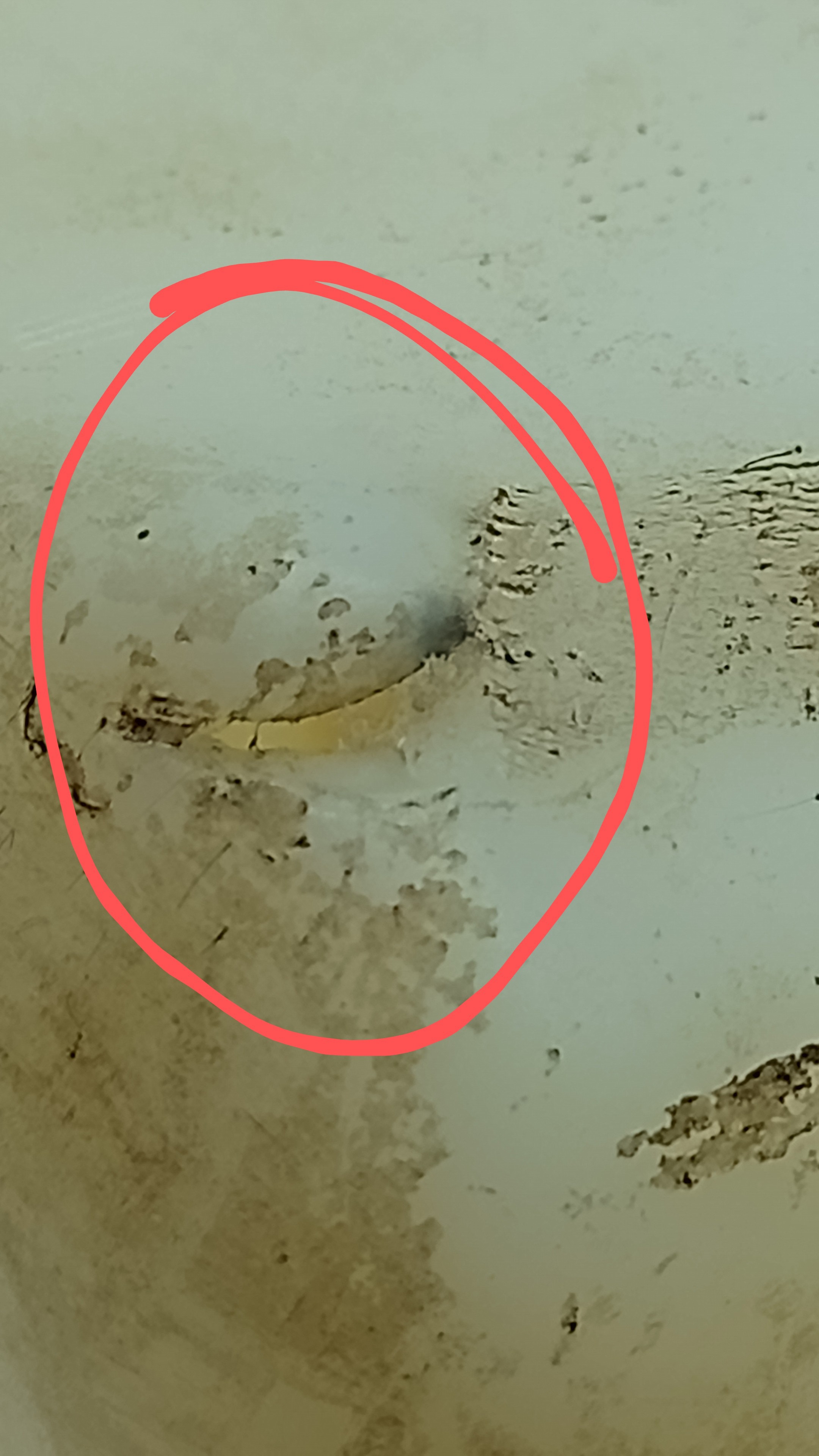 Reservatório Dagua Parabrisa Peugeot 206 1.4 2004 Detalhe 6