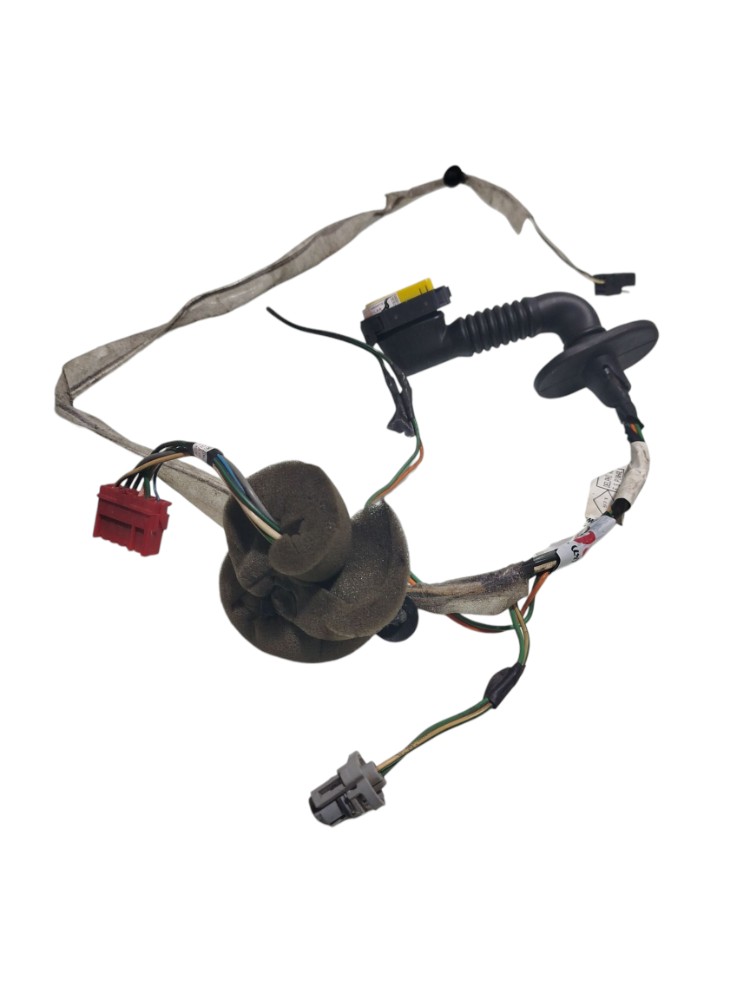 Chicote Porta Dianteira Direita Renault Clio 2016 241249920r 5