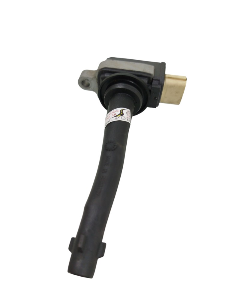 Bobina Ignição Renault Fluence 2.0 2011 D 7