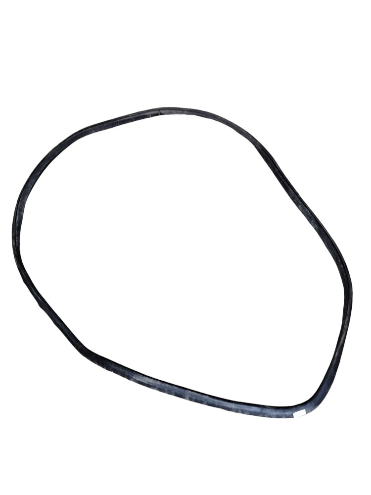 Borracha Porta Traseira Direita Vw Polo 2008 3