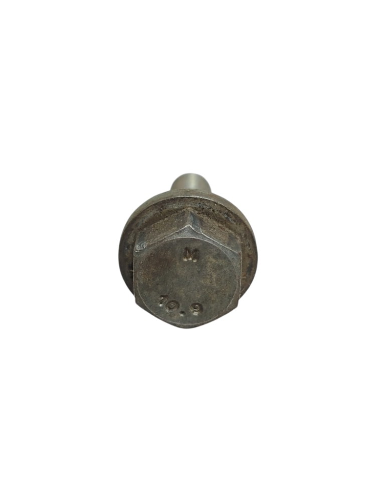Parafuso Polia Comando Renault Clio Sandero Logan 1.0 6