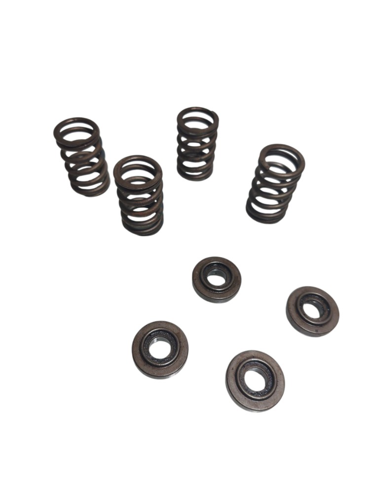 Kit Molas Válvulas Gm Astra 1.8 8v 2001 3