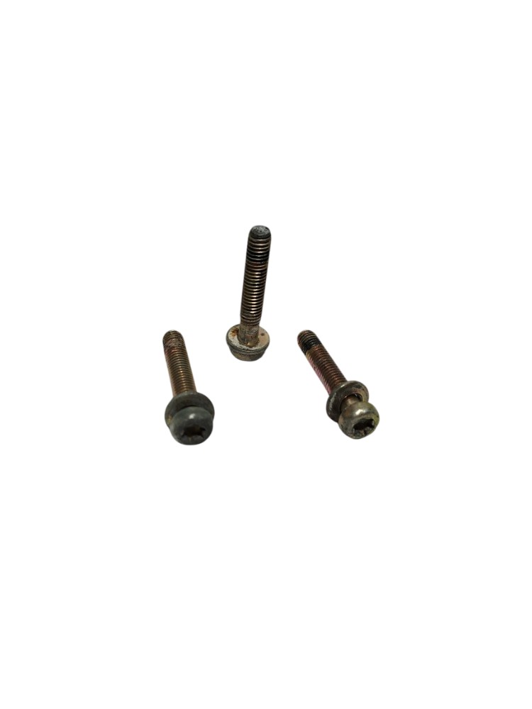Parafusos TBI Corpo Borboleta Fiat Palio Fiasa 1.0 1999 3un 2