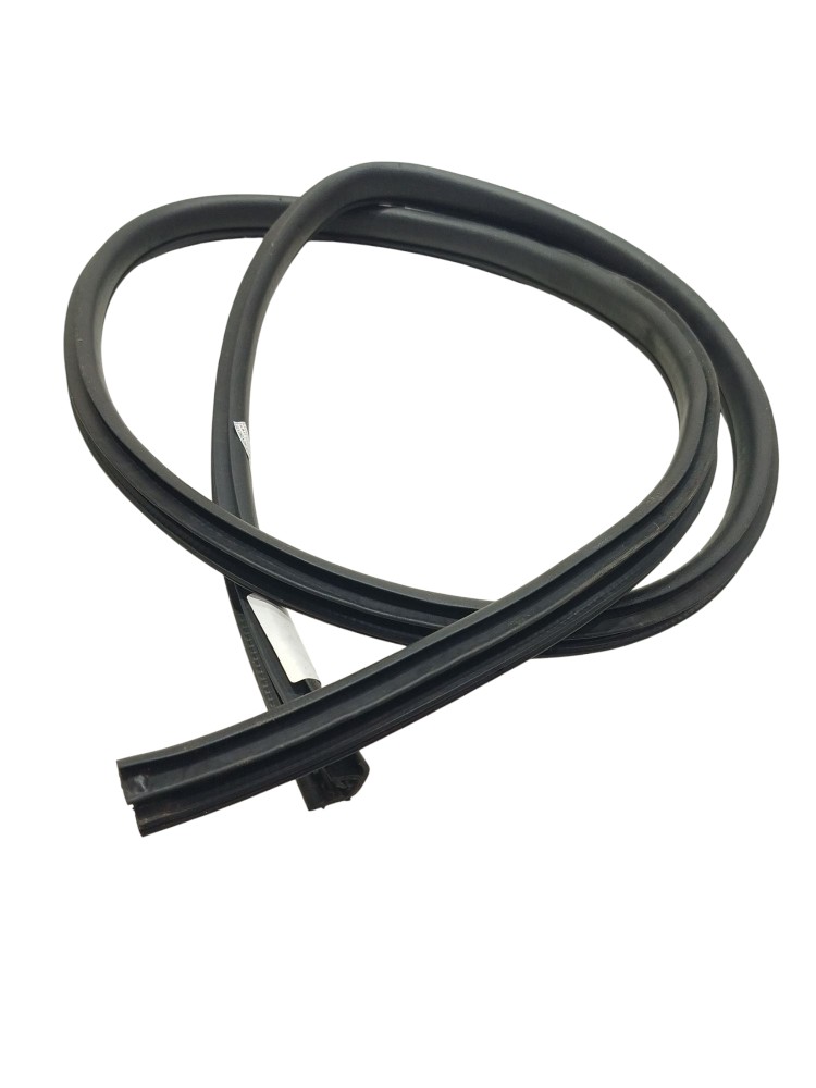 Borracha Porta Traseira Direita Nissan Versa V Drive 2020/21 2