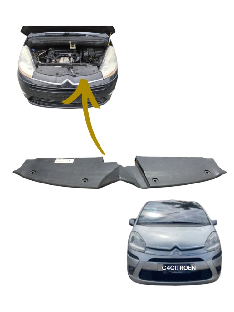 Acabamento Painel Frontal Citroën C4 Gran Picasso 2009