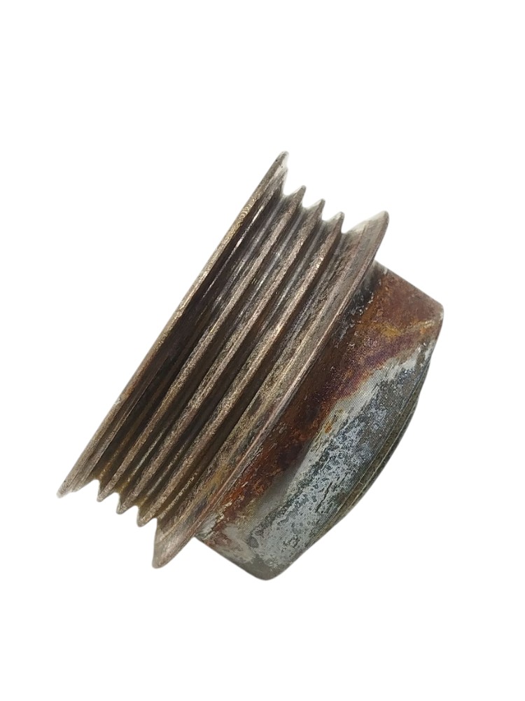 Polia Alternador Renault Scenic 2.0 16v 2001 2