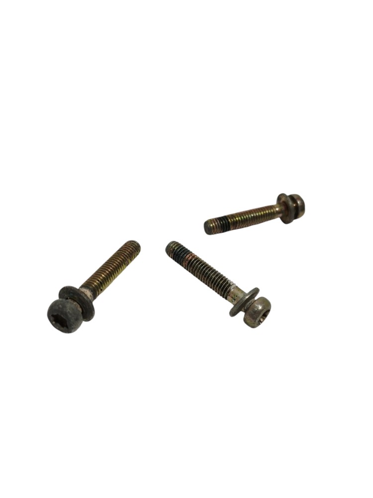 Parafusos TBI Corpo Borboleta Fiat Palio Fiasa 1.0 1999 3un 3
