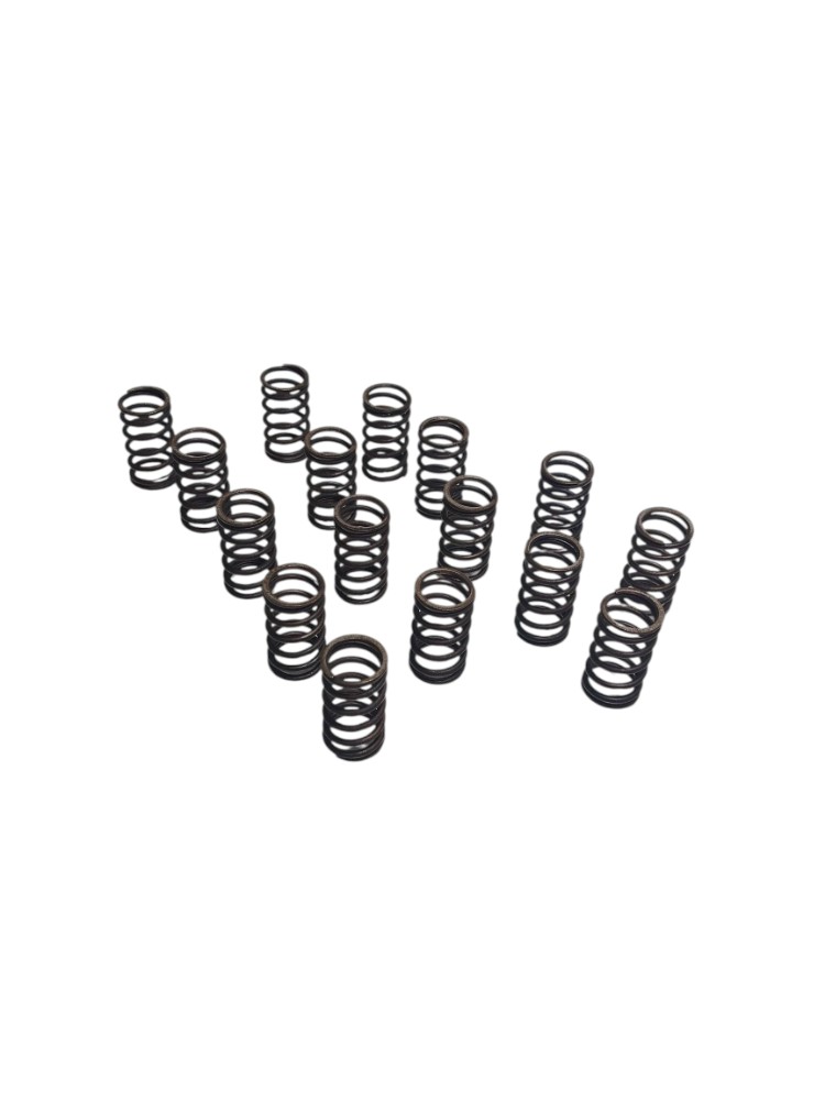 Kit Molas Válvulas Nissan Versa 1.6 Sl 2013 2