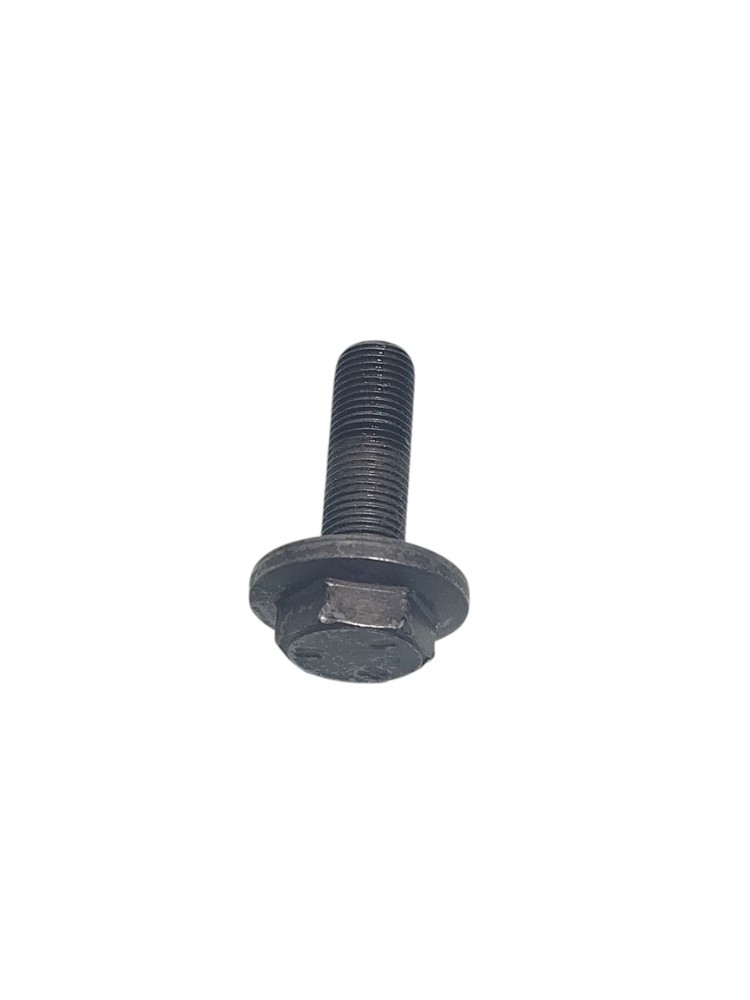 Parafuso Polia Comando Renault Clio 1.0 16v 2006 2