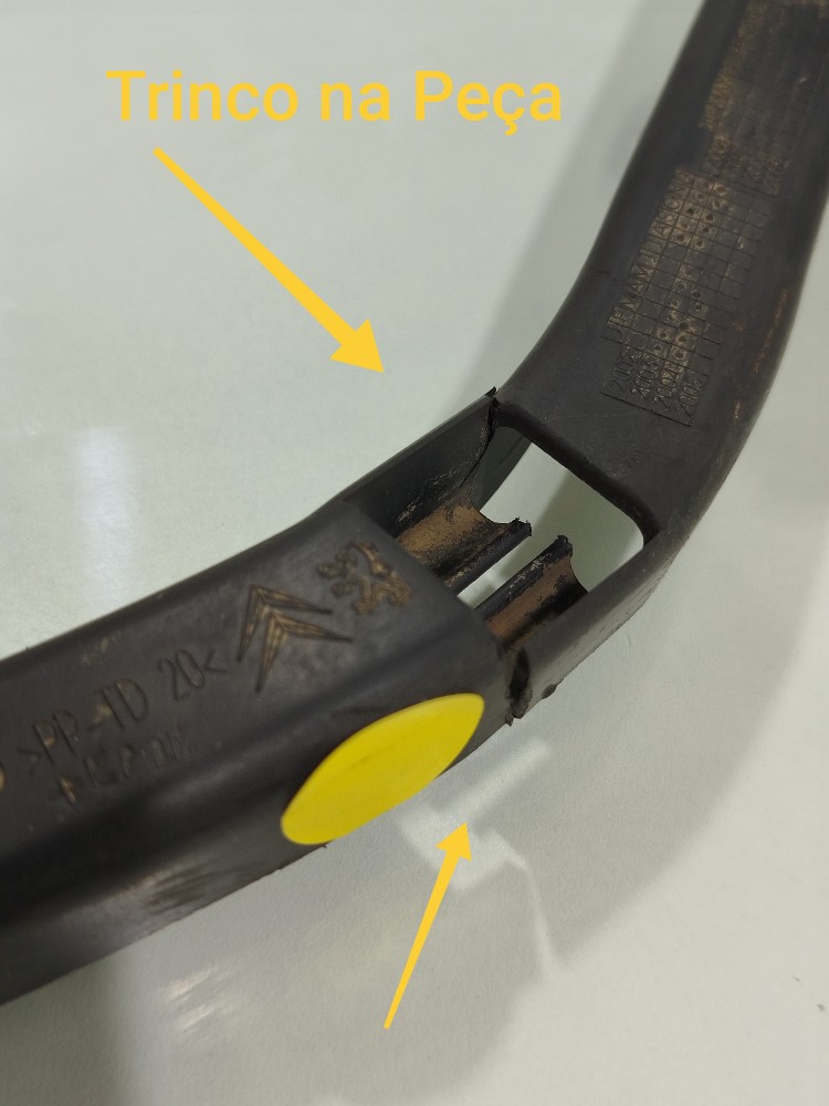 Guia Chicote Injeção Eletrônica Peugeot 206 1.4 2005 Detalhe 2