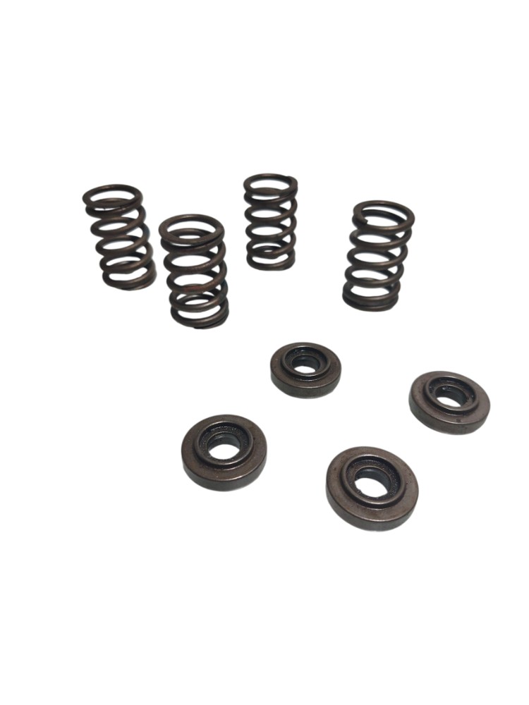 Kit Molas Válvulas Gm Astra 1.8 8v 2001 5