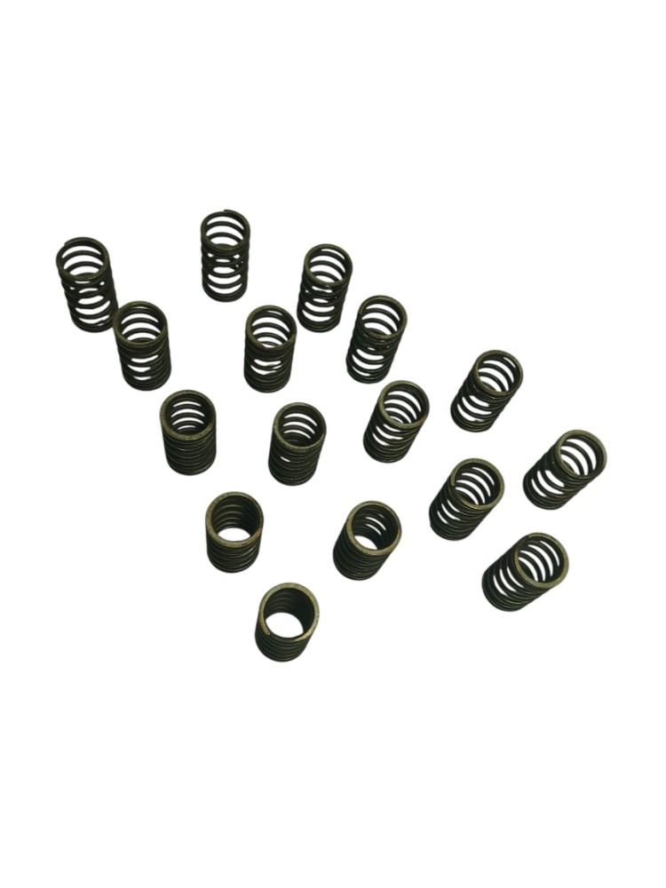 Kit Molas Válvulas Nissan Versa 1.6 Sl 2013 4