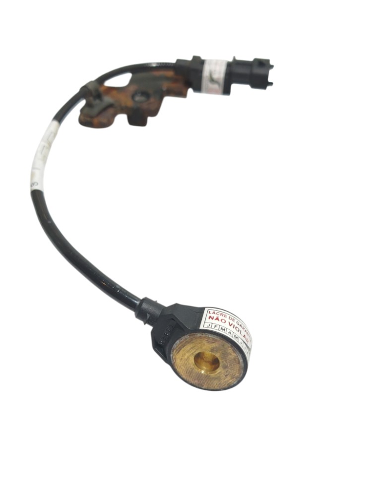 Sensor Detonação Kia Soul 2011 1.6 9550930006 5