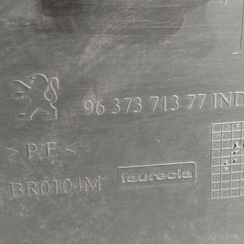 Forro Porta Traseira Direita Peugeot 307 19