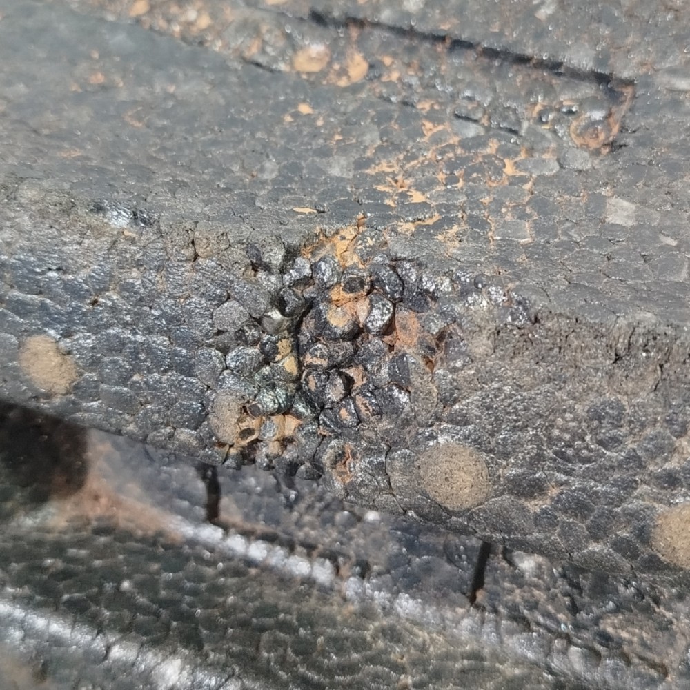 Absorvedor Impacto Volkswagen Gol G4 17