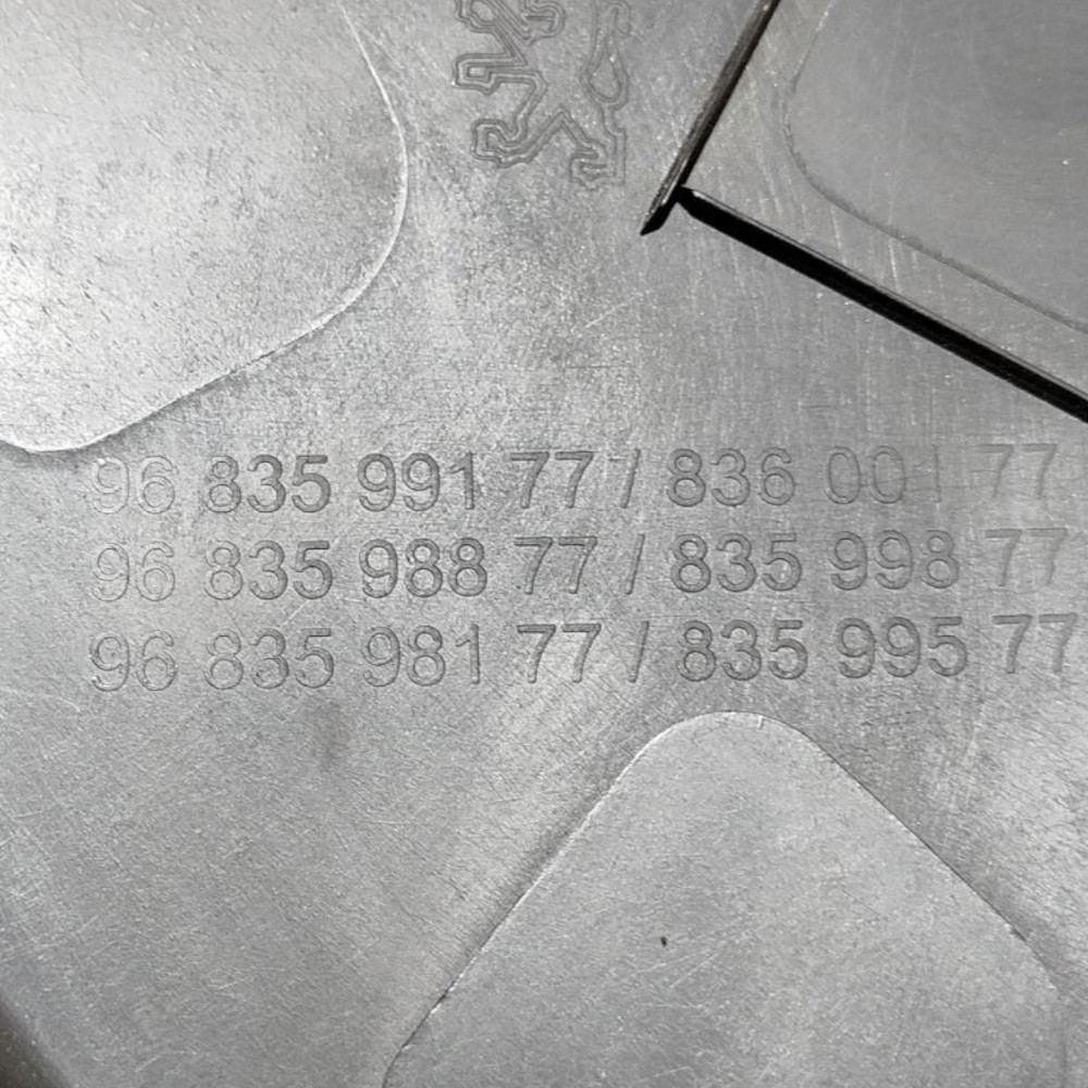 Forro Porta Traseira Direita Peugeot 207 17