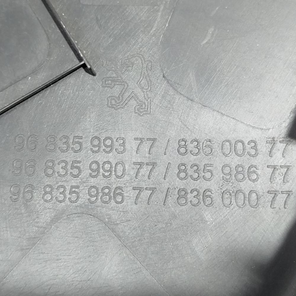 Forro Porta Traseira Esquerda Peugeot 207 15