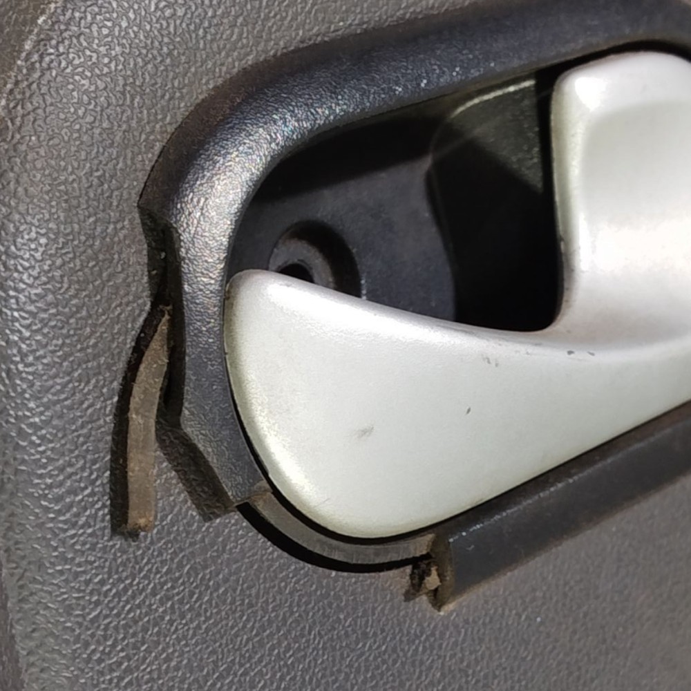 Forro Porta Traseira Direita Renault Sandero 2007 2011 13